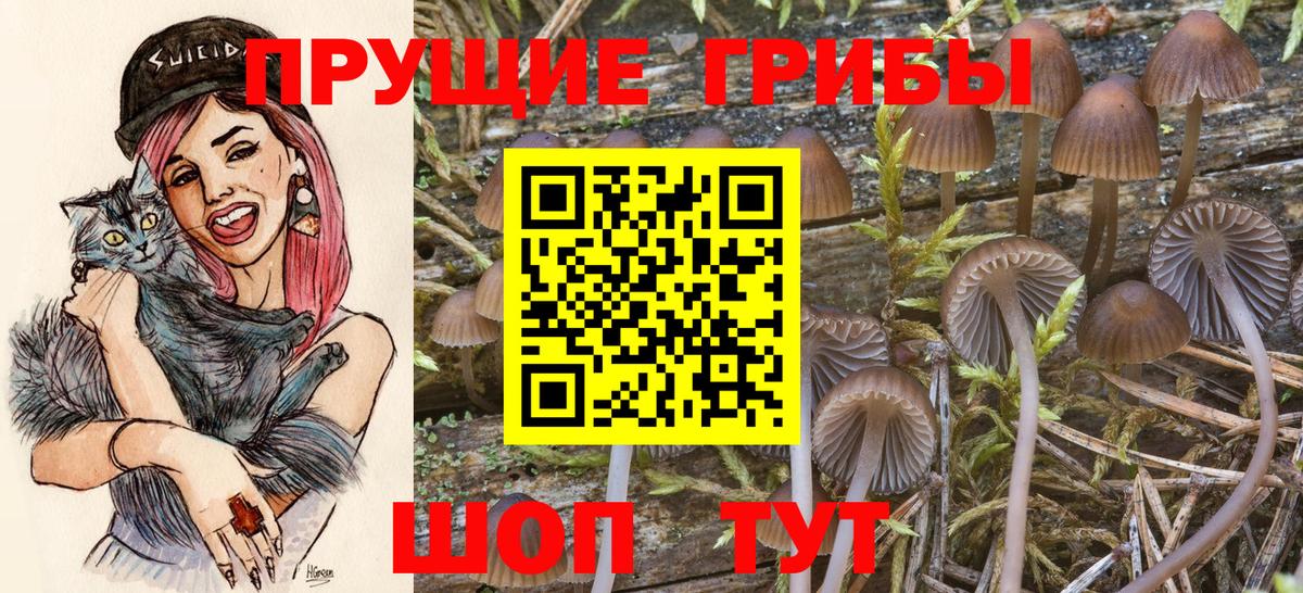 Ачинск  Cocaine  МЕФ кристаллы  Вход с VPN  ГАШ 