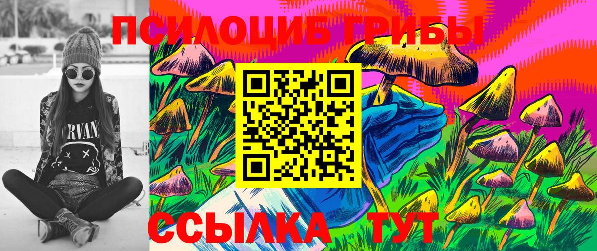 Галлюциногенные грибы Cubensis Ачинск